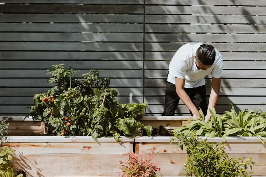 Chef à domicile choisi ses produits de qualité dans le potager